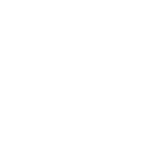 optimización de seo